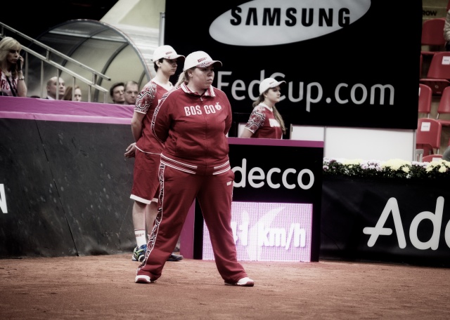 Fed Cup 2013