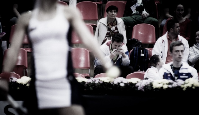 Fed Cup 2013