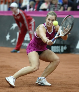 Fed Cup 2013