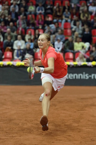 Fed Cup 2013